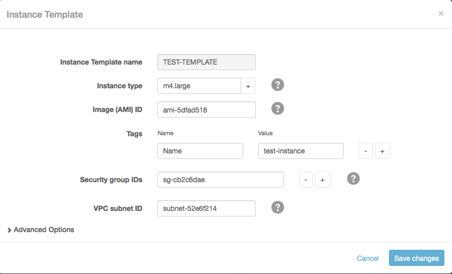 Sample image of Instance Template screen.